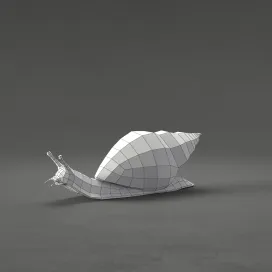 Conch